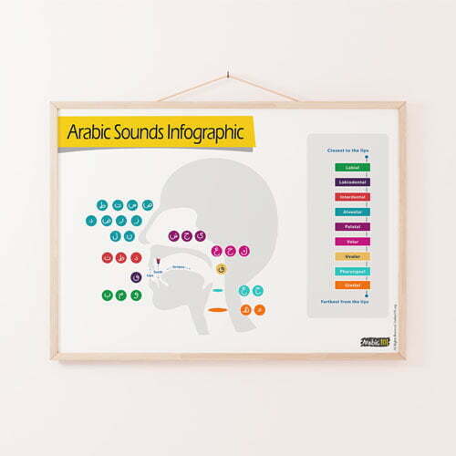 arabic sounds infographic poster thumbnail Arabic Letters Sound Articulation Poster